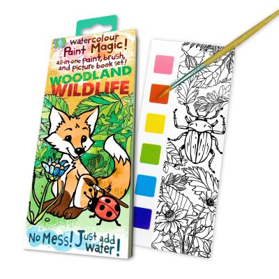 Paint Magic-Woodland Wildlife (£3.99)