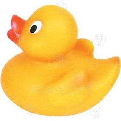 Mini Rubber Duck (£0.99)