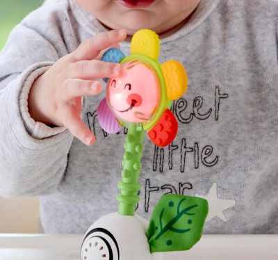 Image 3 of Hape Shake