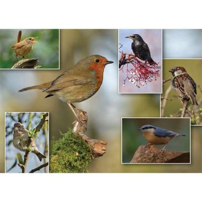 Image 2 of Garden Birds 500 Piece Puzzle (£12.99)